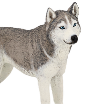 Figurines chiens et chats