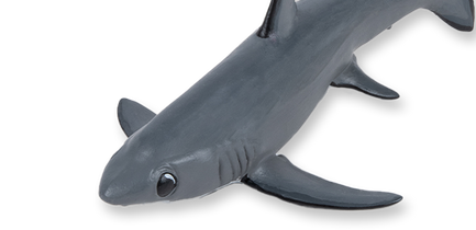 Figurines requins