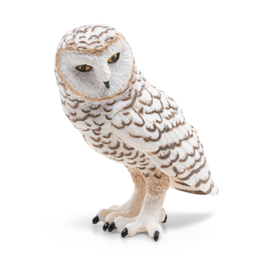 Figurine Harfang des neiges Papo en PVC, thème oiseaux / polaire, Collection Animaux sauvages, jouet éducatif idéal pour enfants et collectionneurs