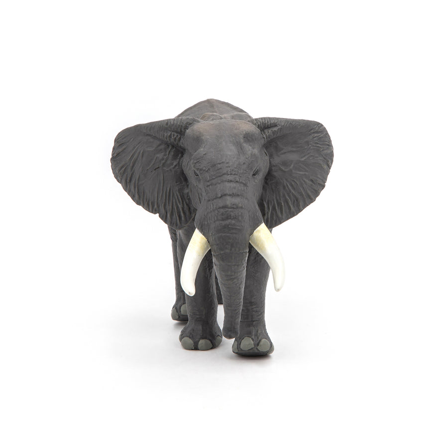 Figurine Jeune éléphant d'Afrique - La Vie Sauvage | Papo France Figurine Jeune éléphant d'Afrique - La Vie Sauvage | Papo France