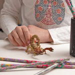 Scorpion Papo en PVC, Collection Animaux sauvages, jouet éducatif idéal pour enfants et collectionneurs