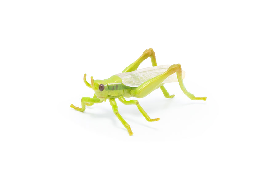 Figurine Sauterelle Papo en PVC, thème insectes, Collection Animaux des jardins, jouet éducatif idéal pour enfants et collectionneurs