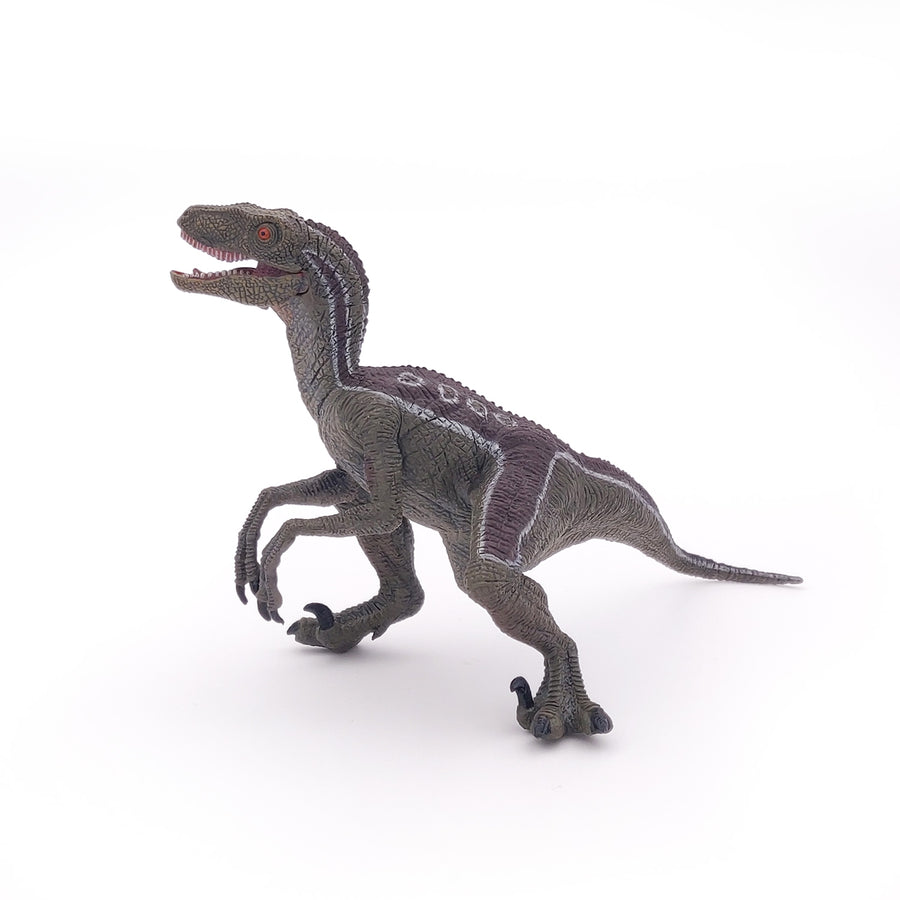 Vélociraptor Papo en PVC, Collection Dinosaures, jouet éducatif idéal pour enfants et collectionneurs
