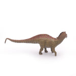 Amargasaurus Papo en PVC, Collection Dinosaures, jouet éducatif idéal pour enfants et collectionneurs