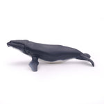 Baleine à bosse Papo en PVC, Collection animaux marins, jouet éducatif idéal pour enfants et collectionneurs