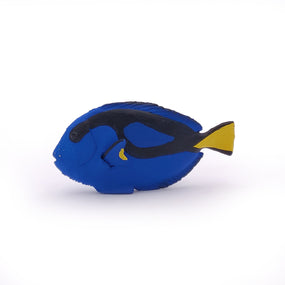 Poisson chirurgien Papo en PVC, Collection animaux marins, jouet éducatif idéal pour enfants et collectionneurs