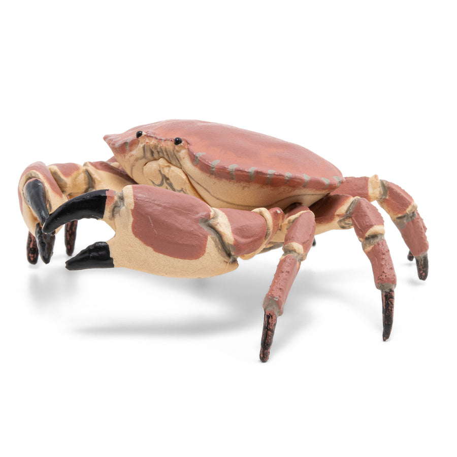 Crabe Papo en PVC, Collection animaux marins, jouet éducatif idéal pour enfants et collectionneurs